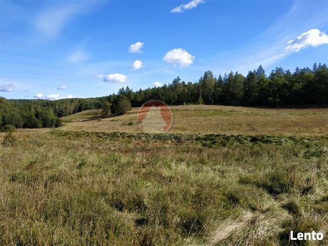 Działka budowlana Klonowo Dolne gm. Przywidz, xxx