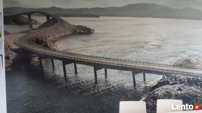 FOTOTAPETA, fototapety/ folia na wymiar DRUK/ MONTAŻ