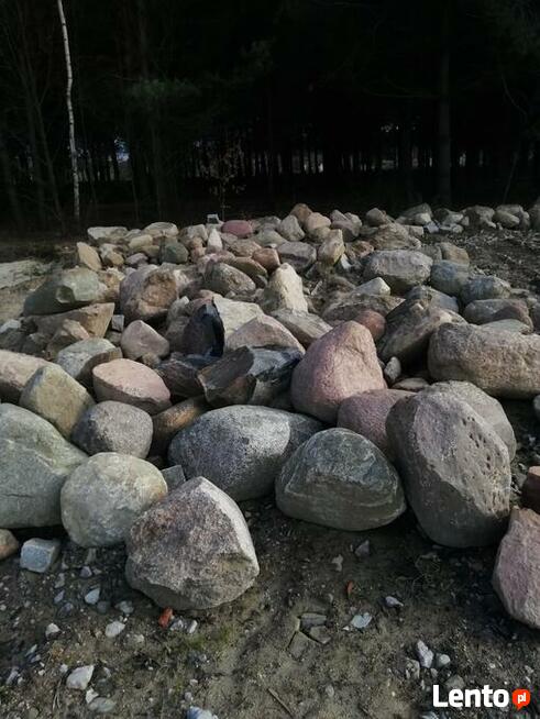 wynajem koparko-ładowarki, koparki, transport wywrokami