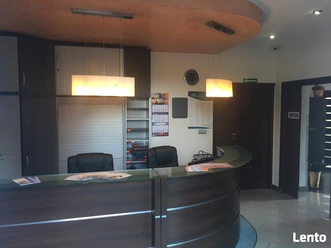 Ładne w centrum - lokale do wynajęcia