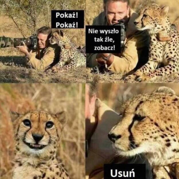 zwykła być może niezwykła znajomość ...