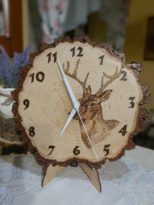 Zegary na plastrze brzozy