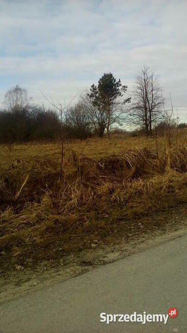 Siedliskowa 16600 m2