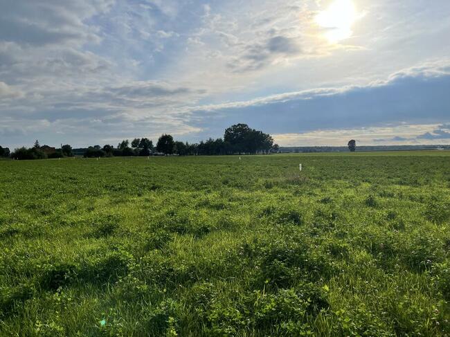 Samorządki Kolonia – Działki Budowlane