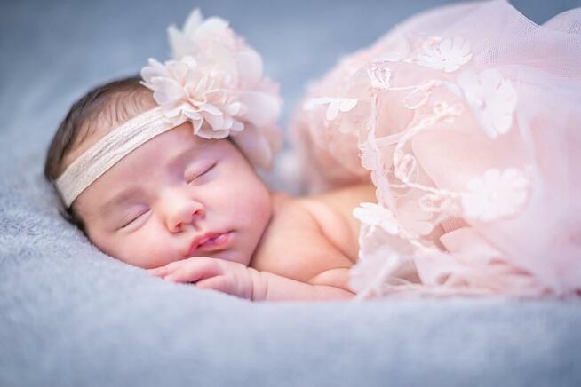 Sesja Zdjęciowa (fotograf)