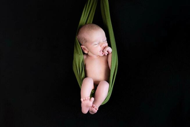 Sesja Zdjęciowa (fotograf)