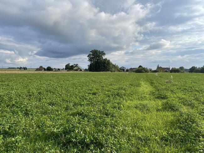 Samorządki Kolonia – Działki Budowlane