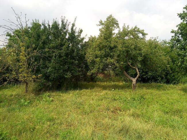 Sprzedam dom na wsi w Łąsku Wielkim