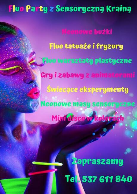 Animator , organizacja imprez dla dzieci i dorosłych