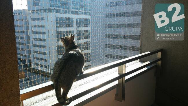 Siatka dla kota, siatka balkonowa, siatka na balkon