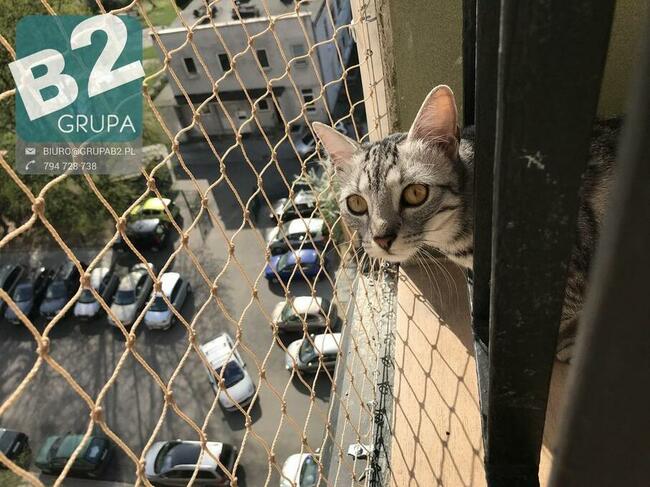 Siatka dla kota, siatka balkonowa, siatka na balkon