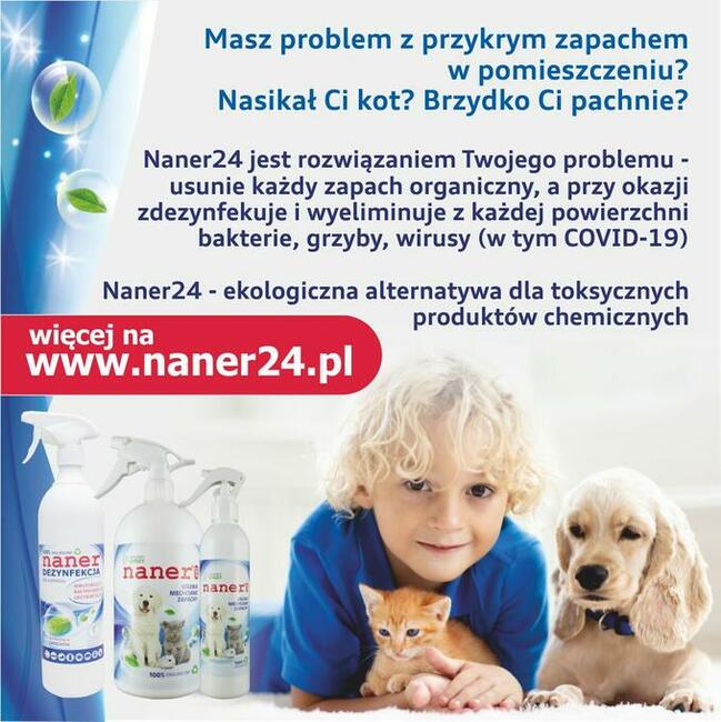 NANER24.pl - Nasikał Ci kot? Masz problem z brzydkim zapacm?