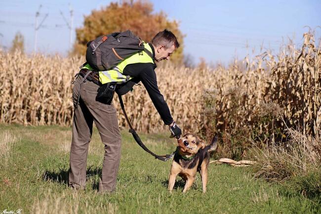 Kubuś czeka na dobry dom