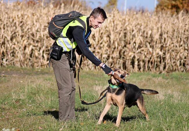Kubuś czeka na dobry dom