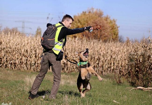 Kubuś czeka na dobry dom