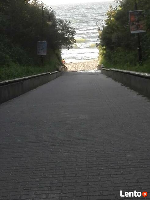 Wolne apartamenty tuż przy morzu