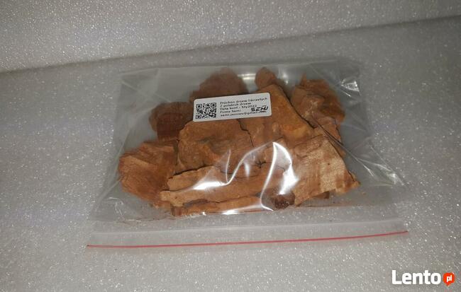 Próchno drewna drzew liściastych pszczół chrząszczy