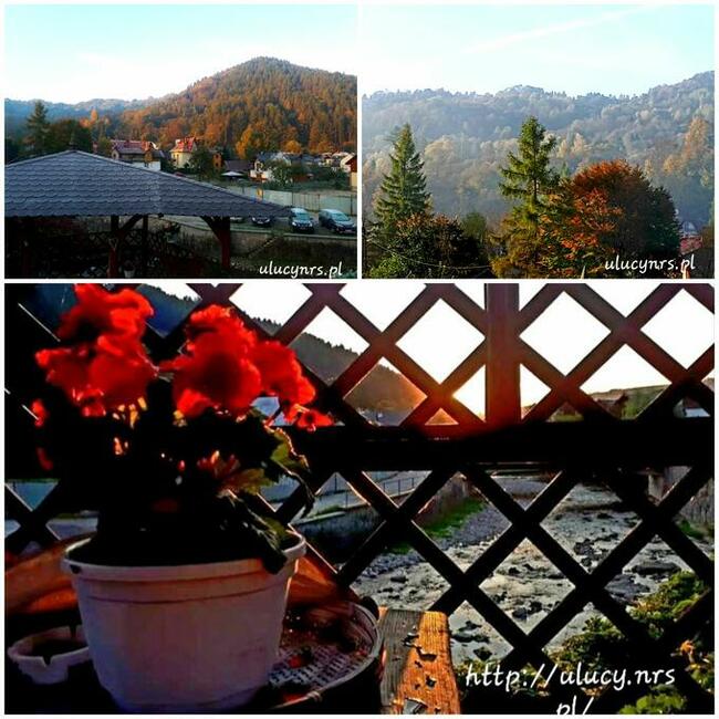 Pokoje u Lucyny - Szczawnica