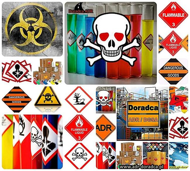 ADR DGSA RID IMDG Doradca rozliczanie tacho Krosno