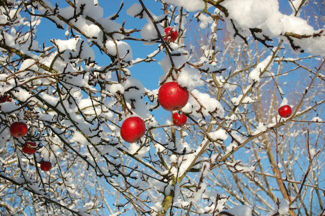 Wakacje 2025 M&E Cztery pory roku Szklarka 25 wynajem pokoi