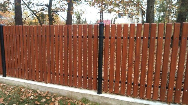 SZTACHETY OLCHOWE 10 WZORÓW