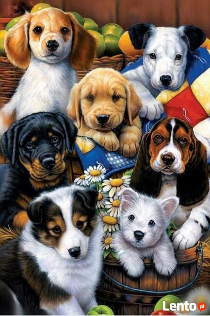 Obrazy z diamencików