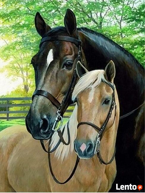 Obrazy z diamencików