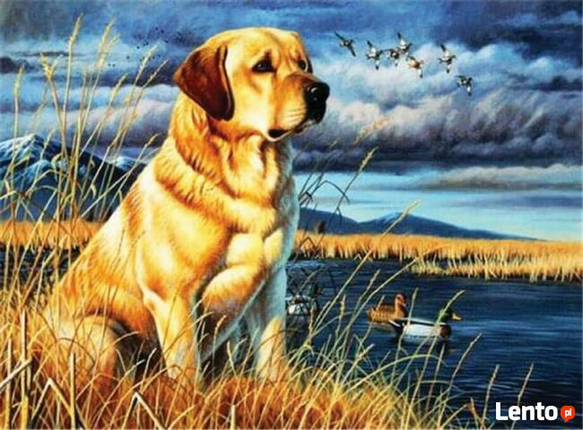 Obrazy z diamencików