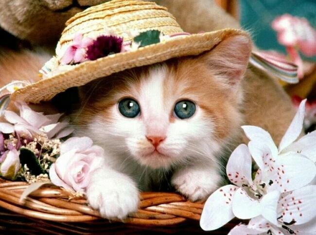 Obrazy z diamencików