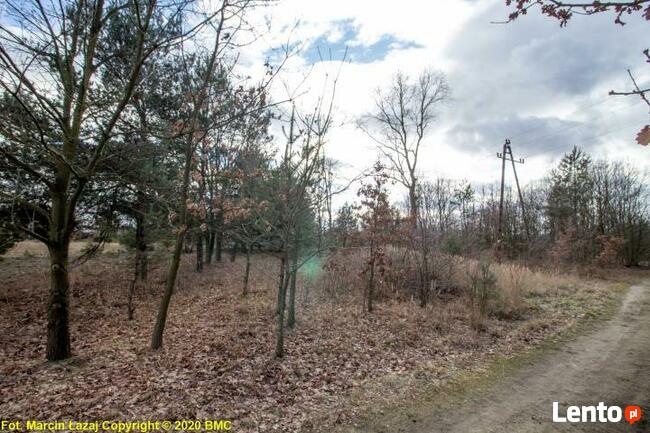 Działka rolno-budowlana Zawisna gm. Kamienica Polska