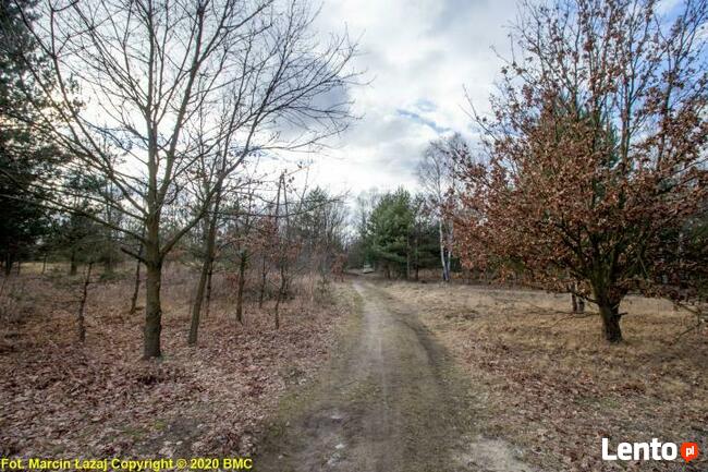 Działka rolno-budowlana Zawisna gm. Kamienica Polska