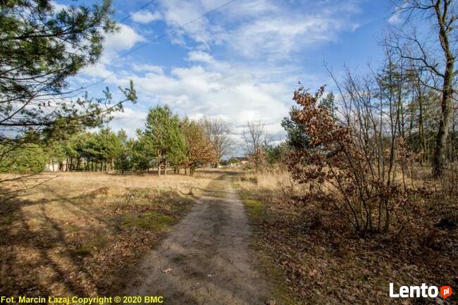 Działka rolno-budowlana Zawisna gm. Kamienica Polska