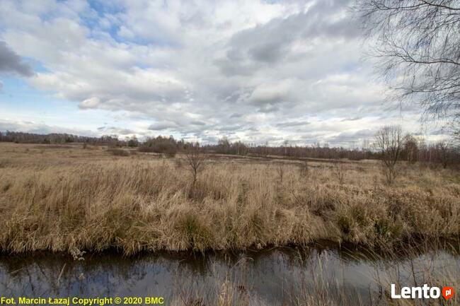 Działka rolno-budowlana Zawisna gm. Kamienica Polska