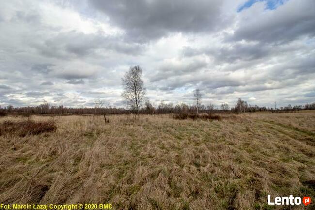 Działka rolno-budowlana Zawisna gm. Kamienica Polska