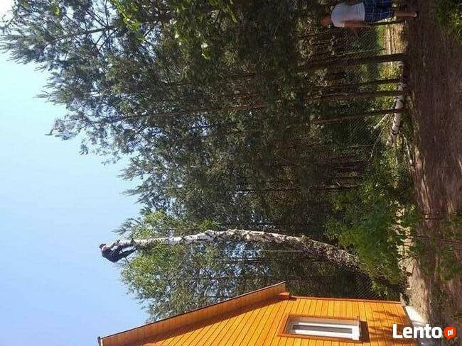 Wycinka przycinka podcinka drzew trudnych metodą alpinistycz