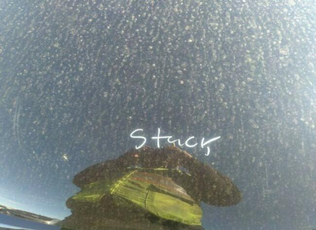 Audi Q5 2021, 2.0L, 4x4, od ubezpieczalni