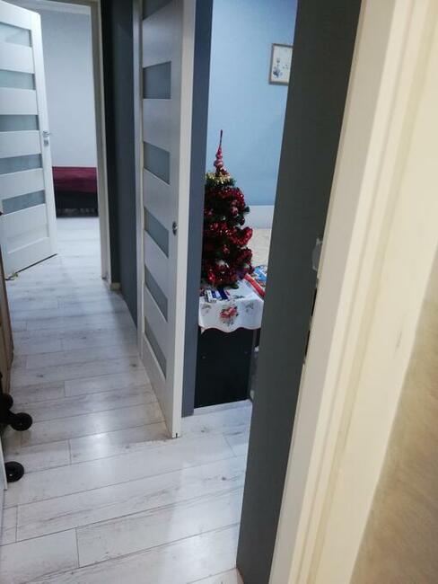 Zamienię mieszkanie komunalne