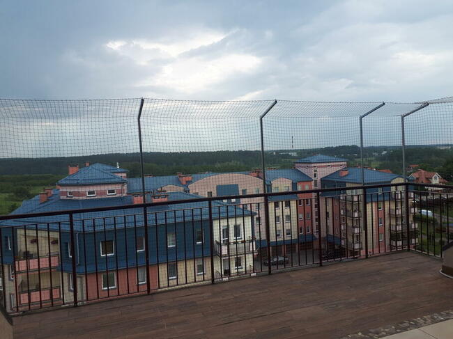 Siatka dla kota, przeciw gołębiom, ochrona balkonu siatką