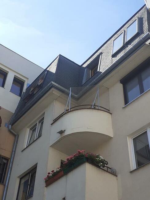 Siatka dla kota, przeciw gołębiom, ochrona balkonu siatką