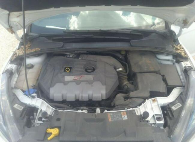 Ford Focus 2018, 2.0L, ST, po gradobiciu