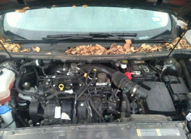 Ford EDGE 2019, 2.0L, TITANIUM, po gradobiciu