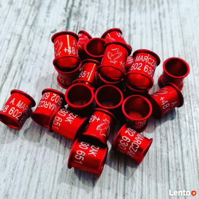 Obrączki aluminiowe grawerowane dla gołębi z telefonem PZHGP