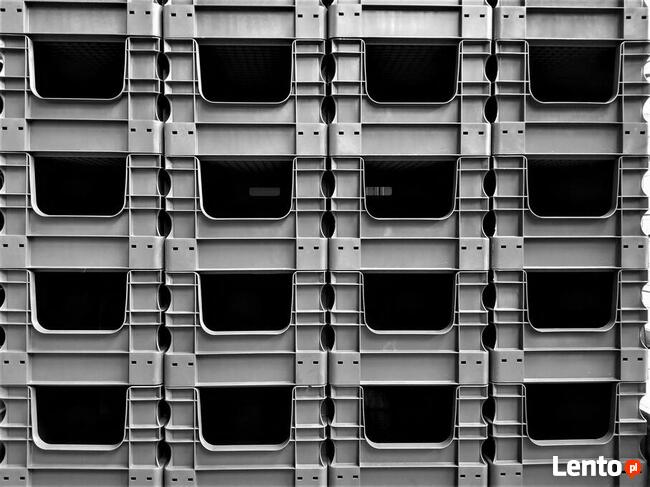 Pojemnik Plastikowy Kuweta Skrzynka Magazynowy Regał