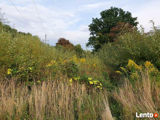 Działka budowlana w miejscowości Braciszów