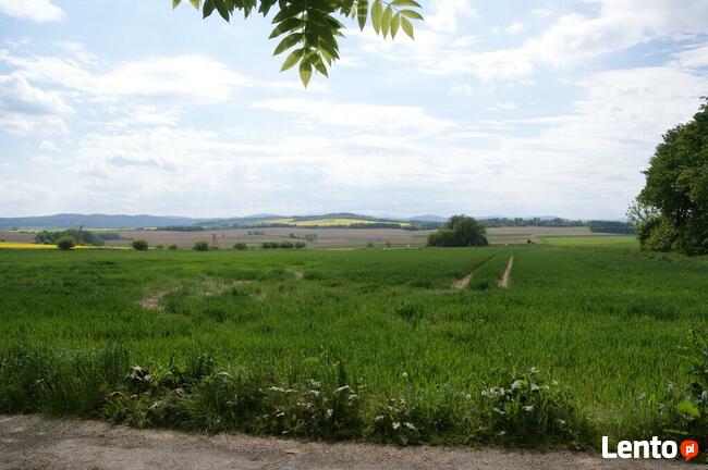 Działka budowlana w miejscowości Braciszów