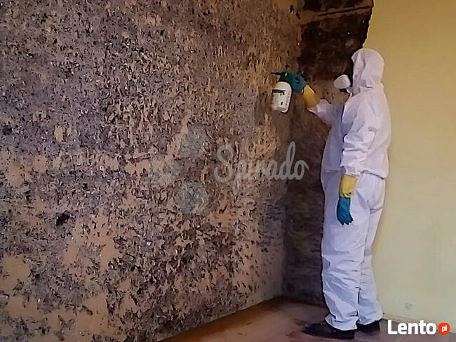 ODGRZYBIANIE, USUWANIE PLEŚNI ZE ŚCIAN, OKIEN, CERAMIKI, AGD