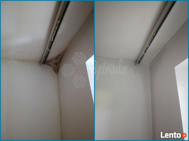 ODGRZYBIANIE, USUWANIE PLEŚNI ZE ŚCIAN, OKIEN, CERAMIKI, AGD