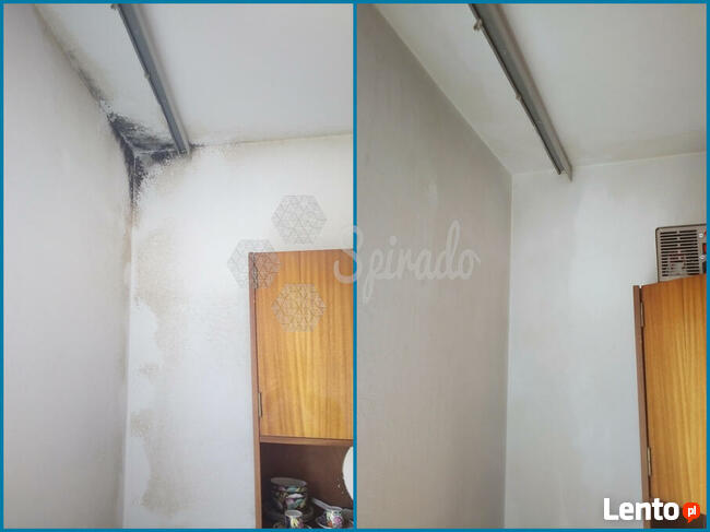 ODGRZYBIANIE, USUWANIE PLEŚNI ZE ŚCIAN, OKIEN, CERAMIKI, AGD