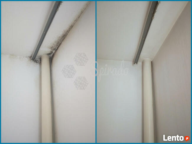 ODGRZYBIANIE, USUWANIE PLEŚNI ZE ŚCIAN, OKIEN, CERAMIKI, AGD