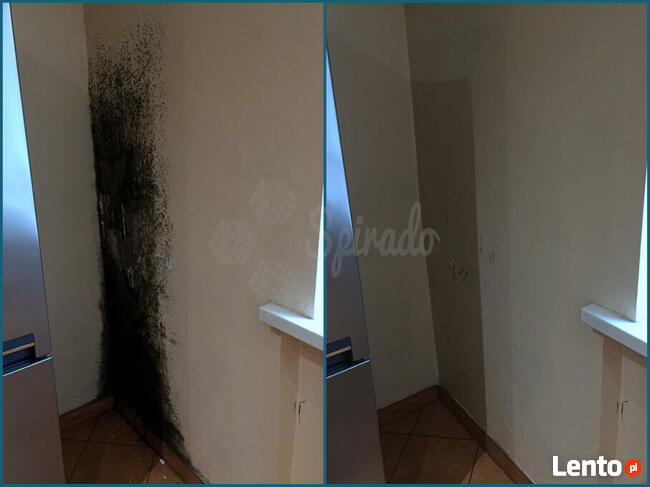 ODGRZYBIANIE, USUWANIE PLEŚNI ZE ŚCIAN, OKIEN, CERAMIKI, AGD